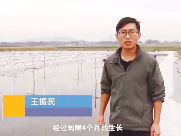 J9集团收获流程